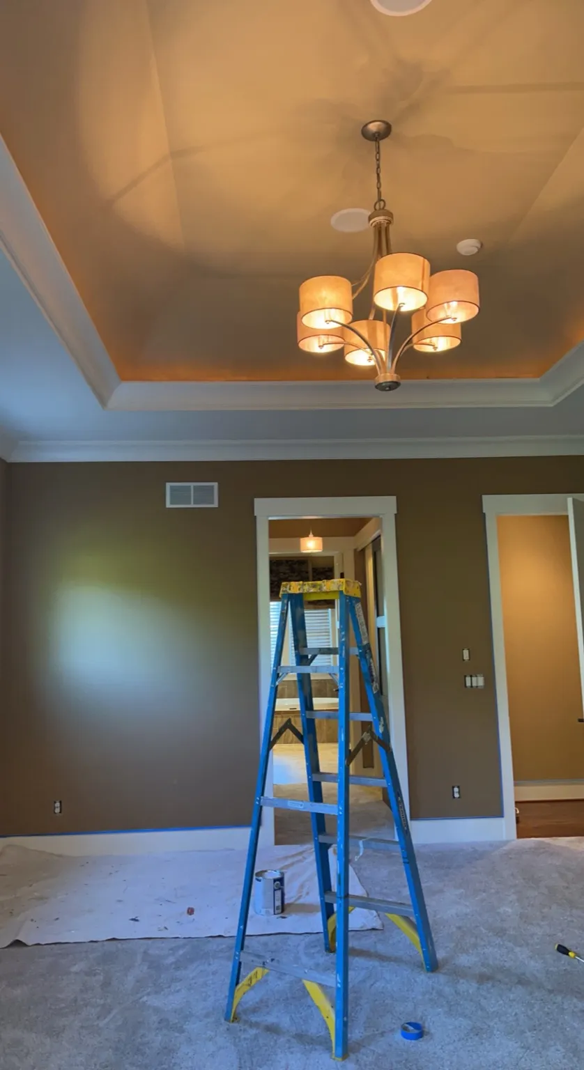 Interior painting 3
